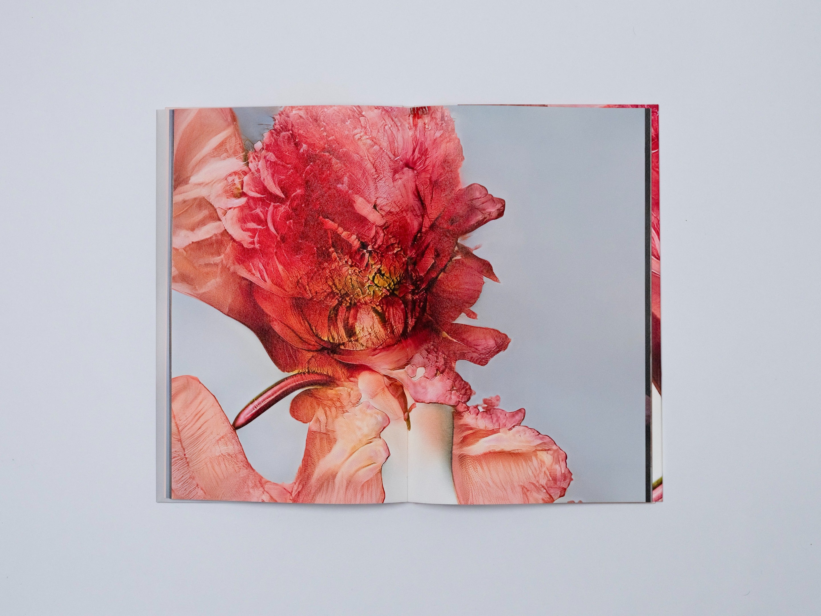 HANATABA - PHOTO BOOK 